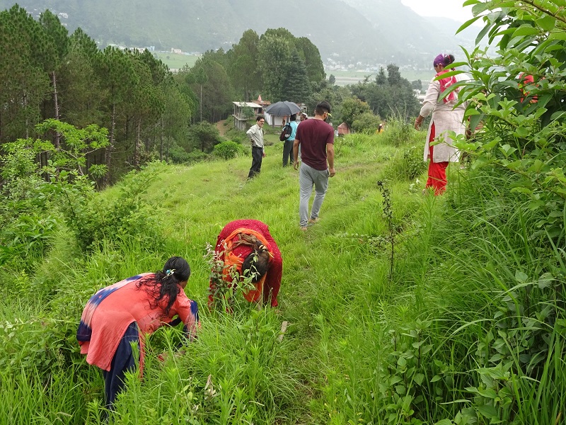 i-sar-work-and-development-work